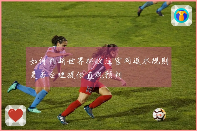 如何判断世界杯投注官网返水规则是否合理提供直观预判