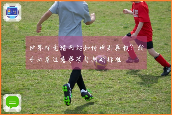 世界杯竞猜网站如何辨别真假？新手必看注意事项与判断标准