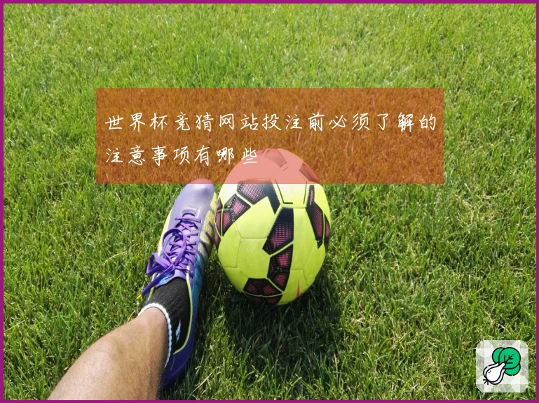 世界杯竞猜网站投注前必须了解的注意事项有哪些